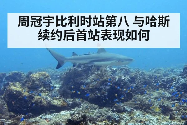 周冠宇比利时站第八 与哈斯续约后首站表现如何 - kaiyun