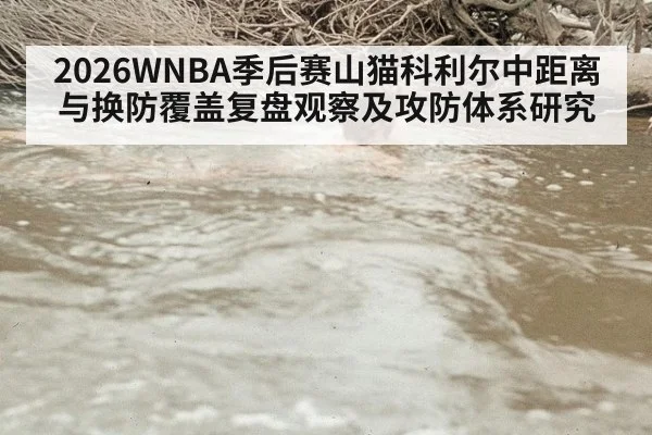 2026WNBA季后赛山猫科利尔中距离与换防覆盖复盘观察及攻防体系研究 - kaiyun